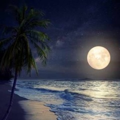 Tropical Night Of Emotions