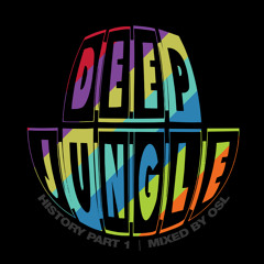 Deep Jungle Records - History Part 1 - Mixed by OSL