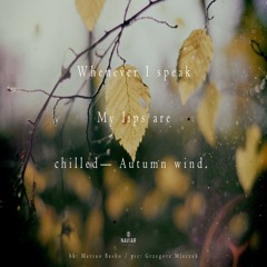 halF chilleD [naviarhaiku303]