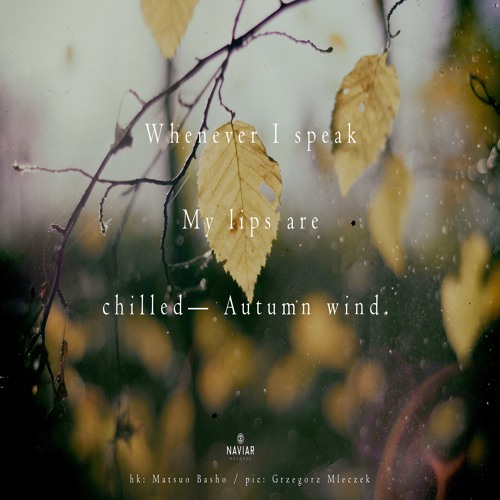 halF chilleD [naviarhaiku303]