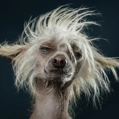 Top Dogs Vol.2 - Vocals Galore