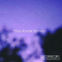 YOU KNOW NOTHING [prod. cayto]