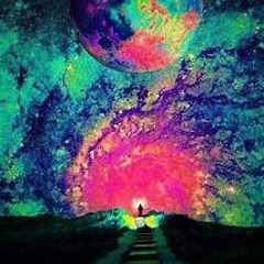 Bassnectar - paracosm (koolaid edit)