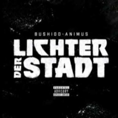 BUSHIDO & ANIMUS - Lichter der Stadt (HQ Dj BustaBass Intro)