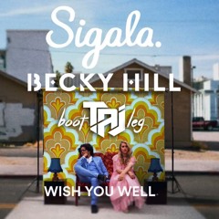 Sigala & Becky Hill x Robert Miles - Wish You Well (TAJ BOOTLEGS/2 Version Preview)
