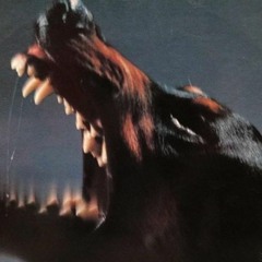 DONTWANTIT X KAGEHEAD PROD 27CORAZONES