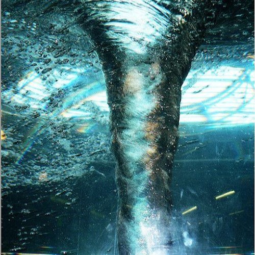 Vortex