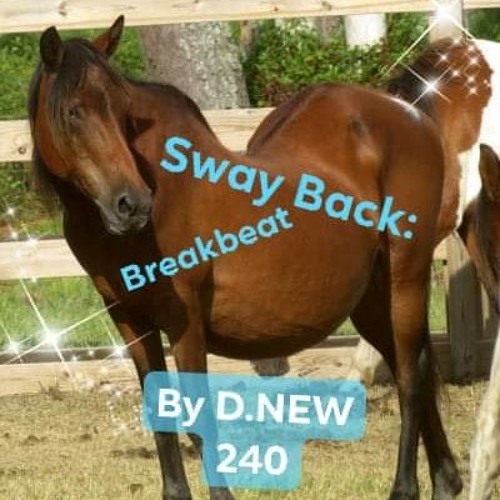 SWAY BACK BREAKBEAT BY D.NEW 240 (slide mix) .m4a
