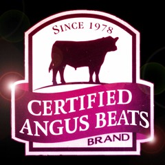 Magic Merry - Sound Design Reflection Phase 3 - Inspirato 2017