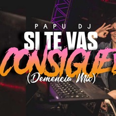 Si Te Vas Consigue 2 - PAPU DJ (DemenciaMix2)