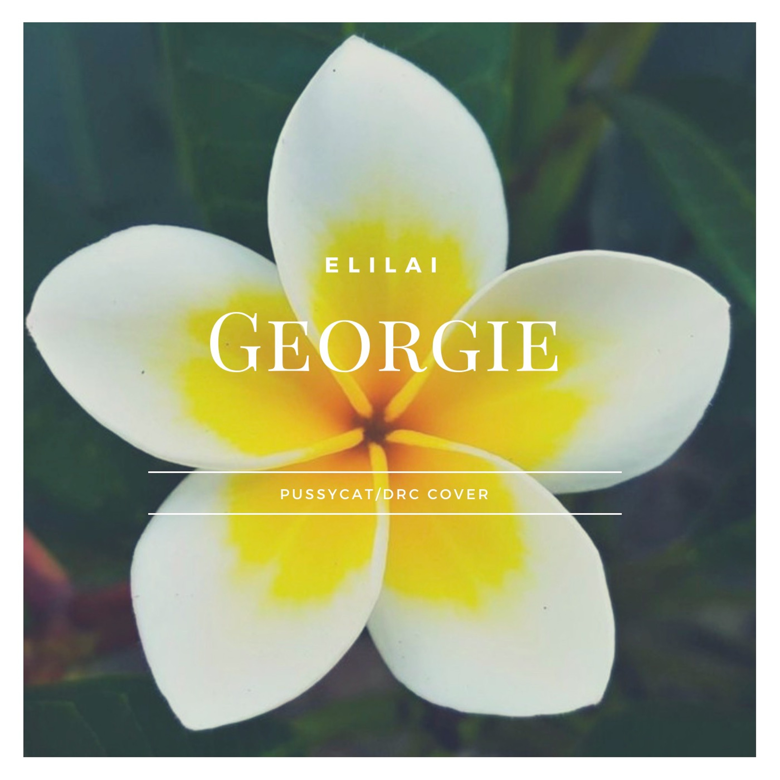 Elilai - Georgie (Pussycat/DRC Cover) episode artwork