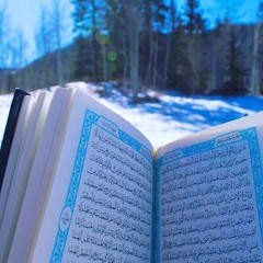 جَنَّاتُ عَدْنٍ يَدْخُلُونَهَا يُحَلَّوْنَ فِيهَا مِنْ أَسَاوِرَ مِن ذَهَبٍ | فاطر ❀ أحمد النفيس