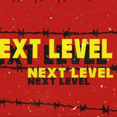 NEXT LEVEL | Talhah Yunus | Talha Anjum (Prod. By Momin) [Official Audio]