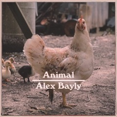 Alex Bayly - Animal (with lyrics)