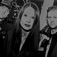 Carol Morgan Trio live at The Root