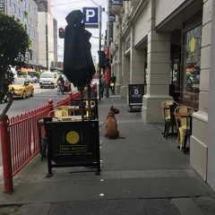 sdp Interlude - Travis Scott (Jesse Brown cover)