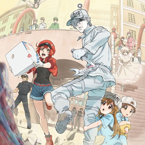 English Dub ] Cells at Work! - Opening Theme「Mission! Health Comes First」   Cells at Work! - Opening Theme [ English Dub ] Aniplex ver. Song: Mission!  Health Comes First Performed
