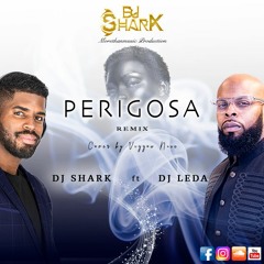 Perigosa - Dj Shark ft Dj Leda - (Kizomba Remix)