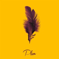 PLÜM - Play Me [Inside Records]