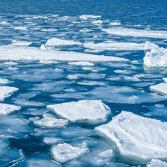 유빙 Drift ice (Sketch)