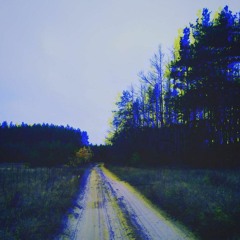 Diffuse Reflection - Doomed To Dream