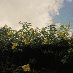 Minsan