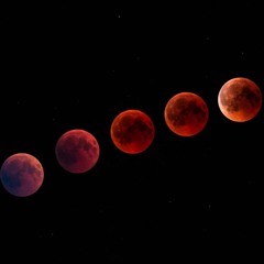 Bloodmoon: Deth Szn