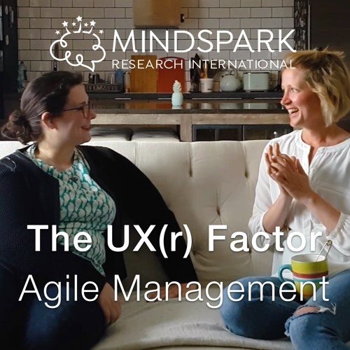 Agile Management - The UX(r) Factor | MindSpark Research Intl