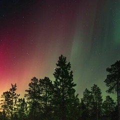 The Summer is Finish!