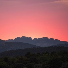 Like a sunset in Provence