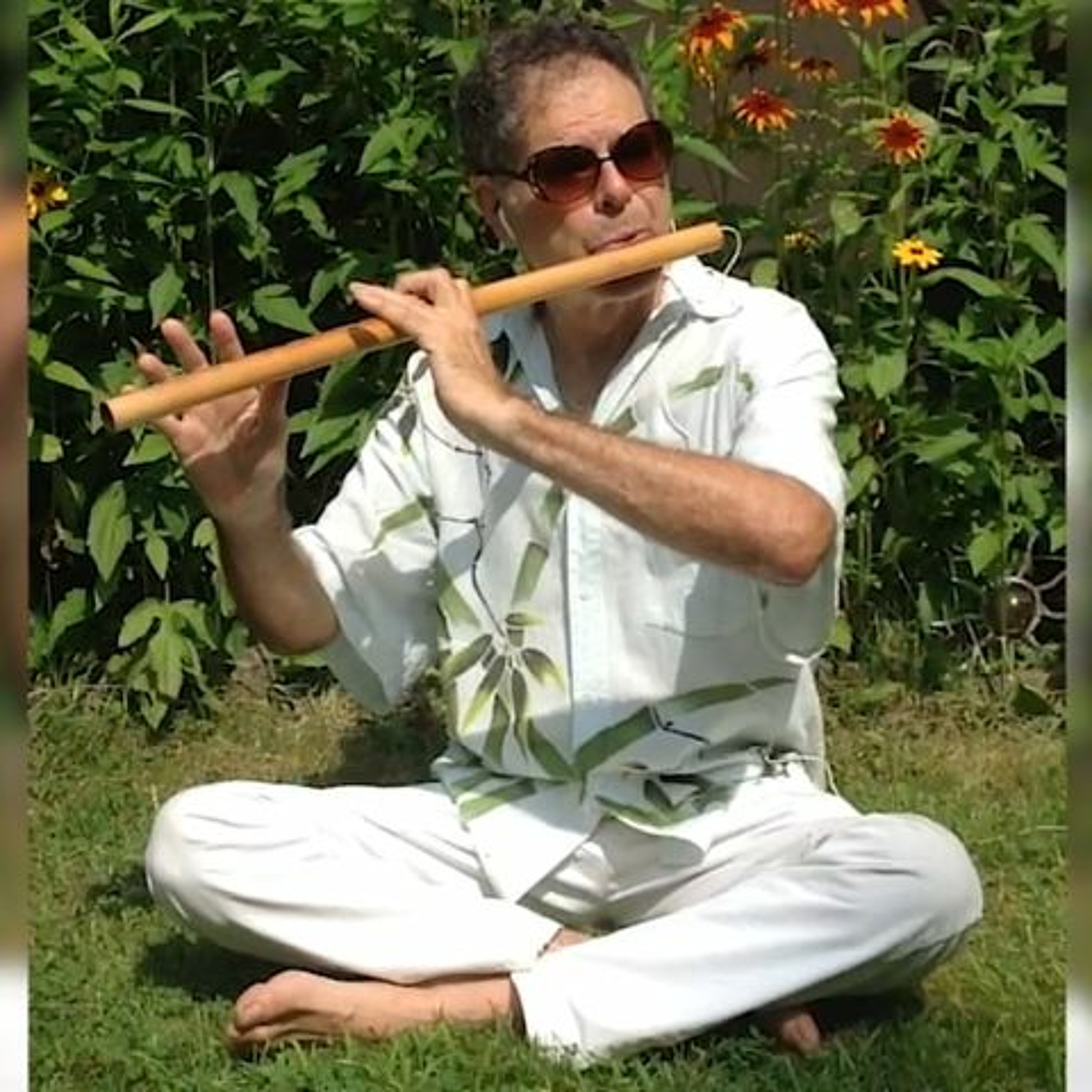 Ep #61 Steve Gorn, bansuri flutist and composer episode artwork