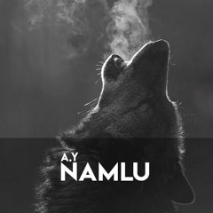 A.Y - Namlu