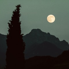 Moonlight
