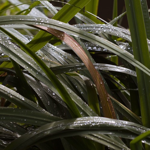 PREMIERE : Detroit Swindle Ft. Lorenz Rhode - Music For Clubs