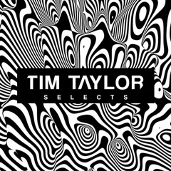 Tim Taylor Selects #008