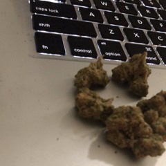 Just Rolled Up (prod. Dvtchie)