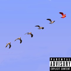 Fri som en fågel (feat. Helge)