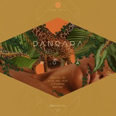 PREMIERE: Dandara — Caracal (Original Mix) [Sol Selectas]