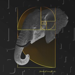 Tribe x Naissance Musik with Andrea Ferlin