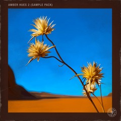 Pelham & Junior - Amber Hues Vol. 2 Sample Pack