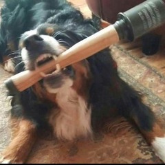 JOHNNASCUS - SAD SATAN LSD | thatfox( COVER )