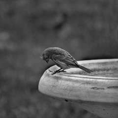 How It Feels (Instrumental)