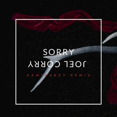 Sorry Joel Corry (Kamikarzy Remix)