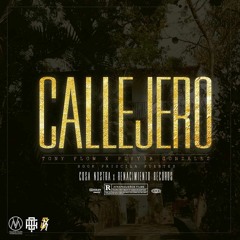 Callejero Ft. Play3r El Jugador, Priscila Fuentes