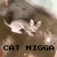 Nigga - Cat