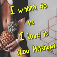 I Wanna Do Vs I Love It (Lou Mashup)