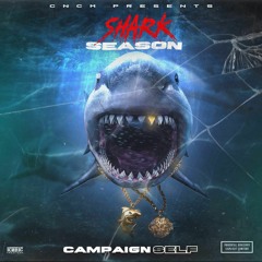 Campaign Self - I AINT GOTTA LIE Ft Fat Glo