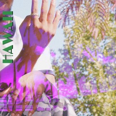 Hawaii (Prod. by Chubby)