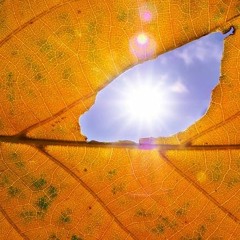 Pare pare (Ukulele Cover)