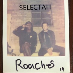 Roaches - SELECTAH